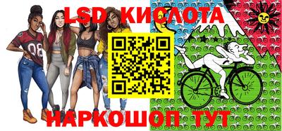 шишки Берёзовский