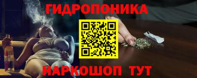 шишки Берёзовский