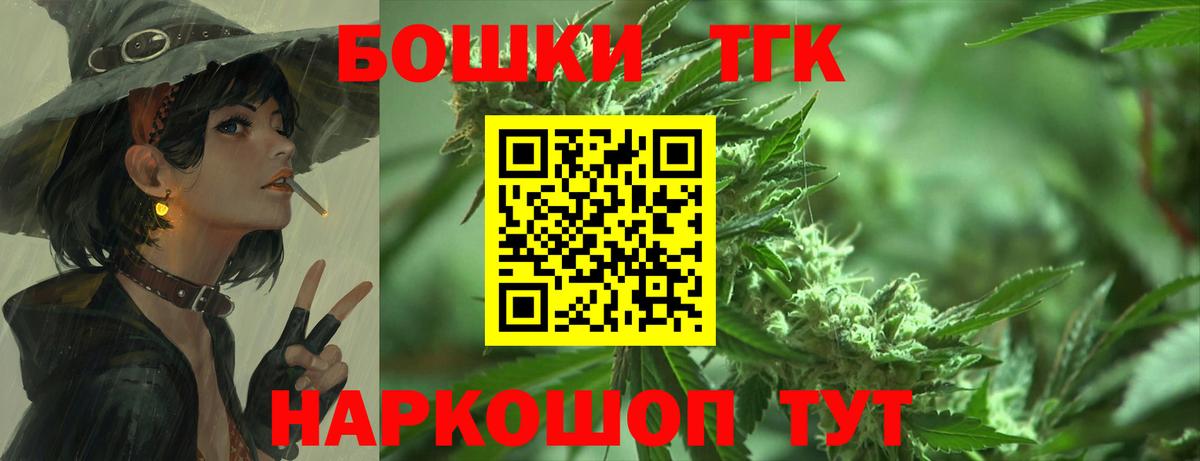 Канабис планчик Гай